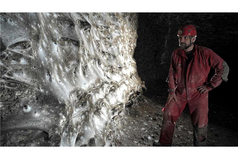 Ein Wissenschaftler vor dem riesigen Spinnennetz