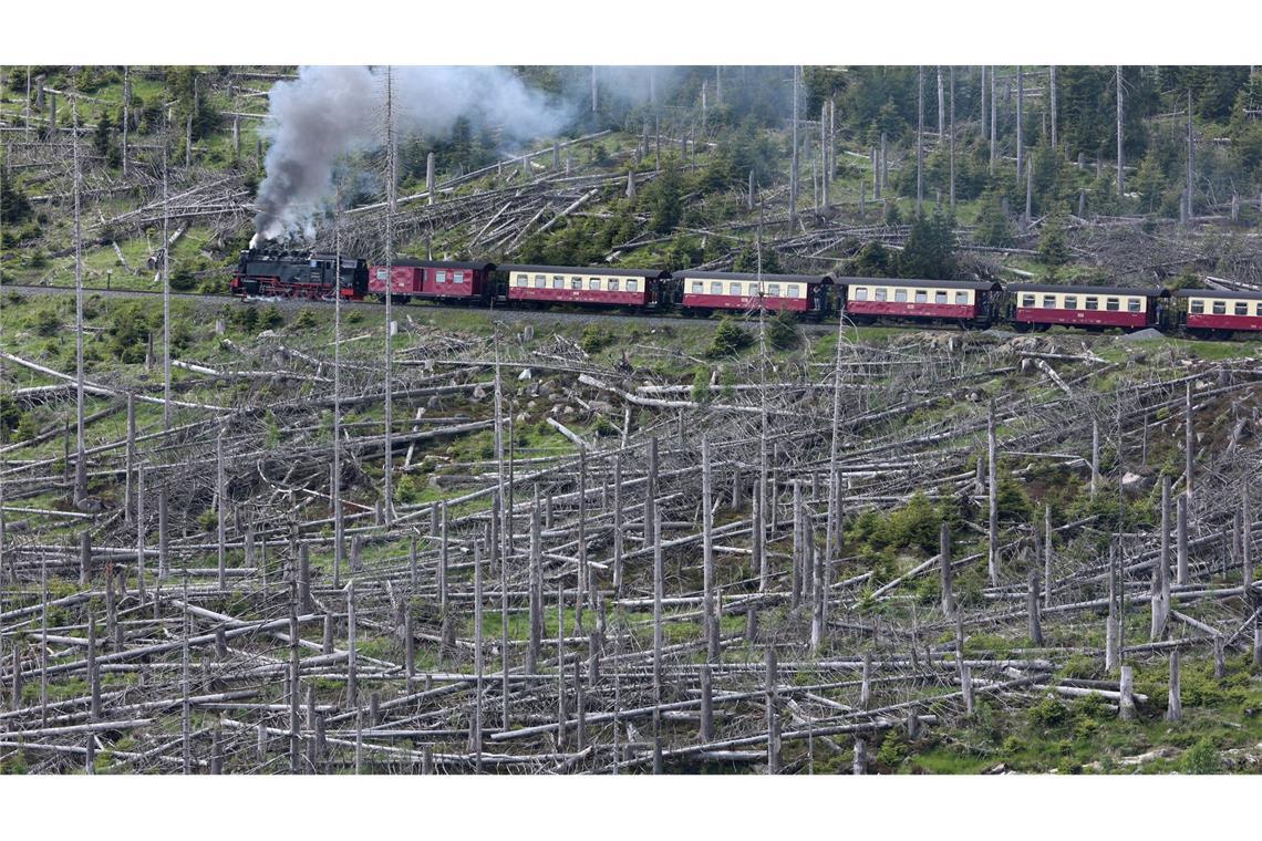 Bilder des Tages Ein Zug der Harzer Schmalspurbahnen GmbH (HSB) fährt mit einer Dampflok bespannt auf den Brocken.