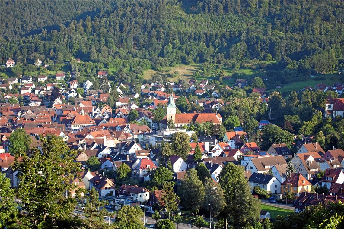 Eindrücke aus dem Imagefilm – hier mit einem Blick auf Murrhardt im Herzen des Schwäbischen Waldes. Fotos: S. Bossow