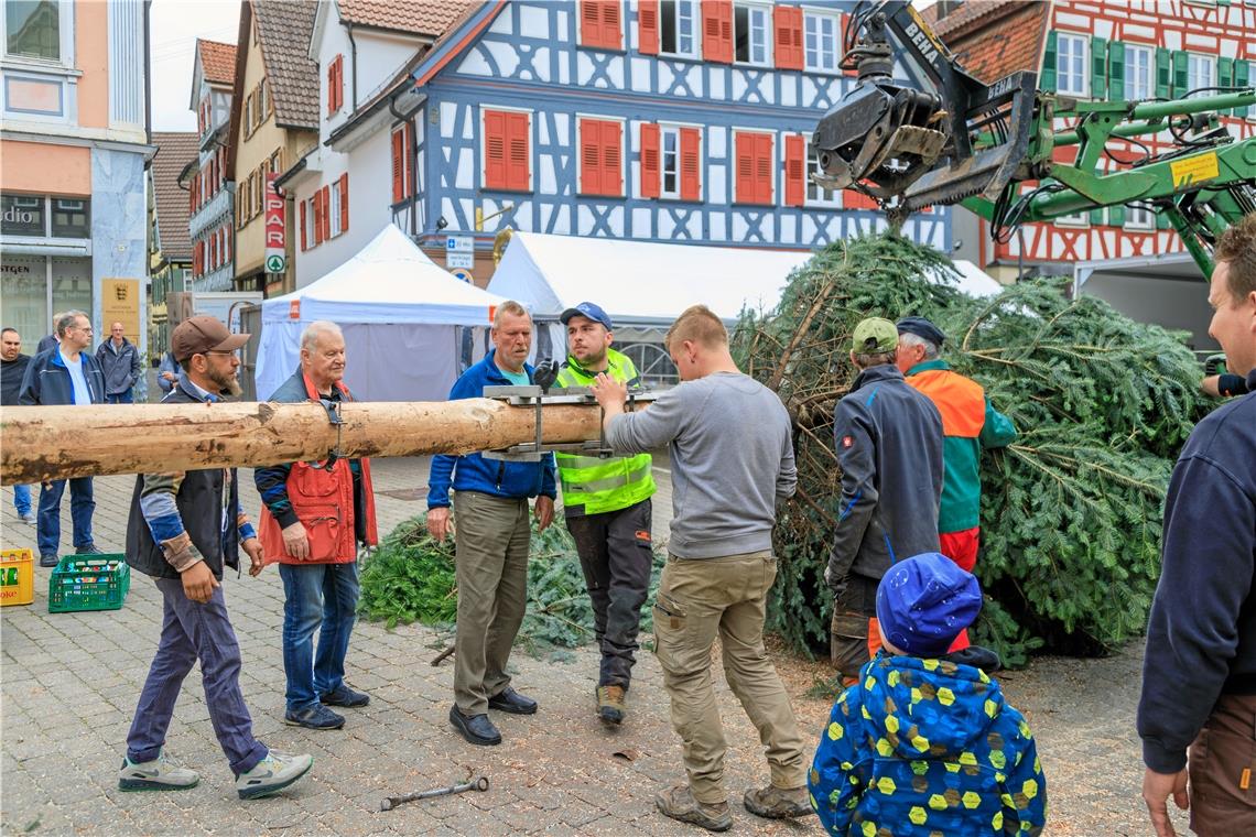 Eindrücke vom Maibaumfest