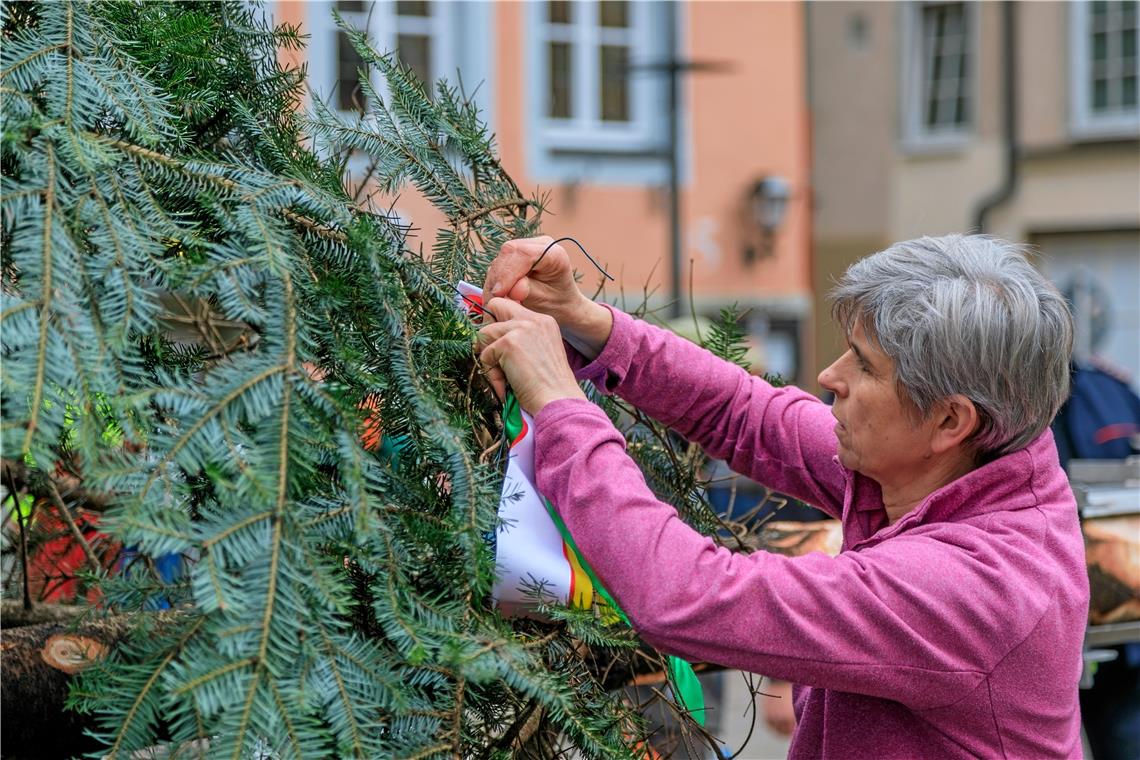 Eindrücke vom Maibaumfest