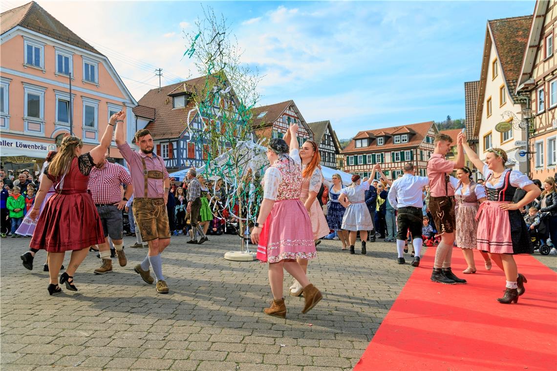 Eindrücke vom Maibaumfest