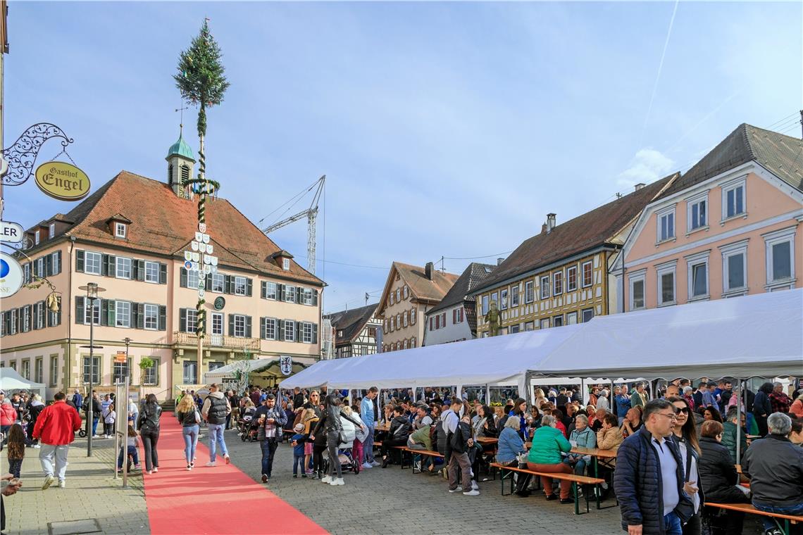 Eindrücke vom Maibaumfest