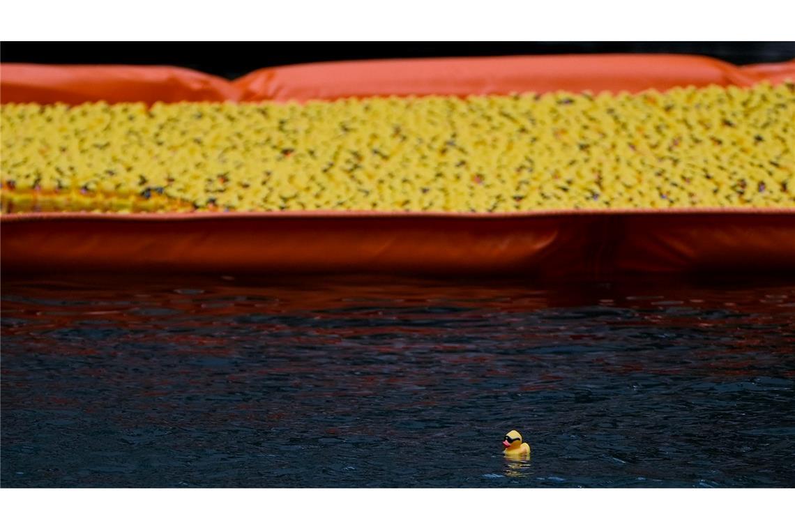 Bilder des Tages Eine einzelne Ente schwimmt alleine außerhalb der Absperrung, nachdem über 80.000 Gummienten im Rahmen des Chicago Ducky Derby zugunsten von Special Olympics Illinois in den Chicago River geworfen wurden.