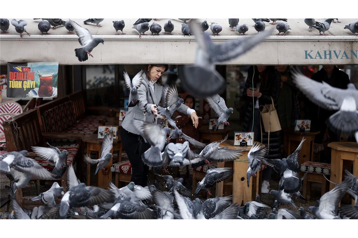 Eine Frau füttert Tauben in Sarajevo.