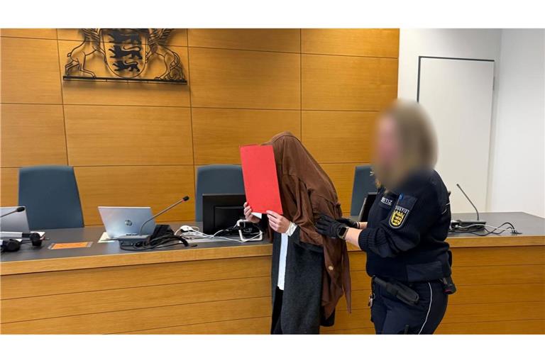 Eine Frau hat sich jahrelang als Lehrerin in Heidelberg und Homburg ausgegeben. Jetzt wurde sie in Heidelberg verurteilt. (Archivbild)