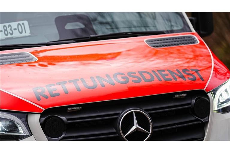 Eine Frau ist in einem Wald in Burladingen (Zollernalbkreis) von ihrem eigenen Kleinbus eingeklemmt worden und gestorben (Symbolfoto).