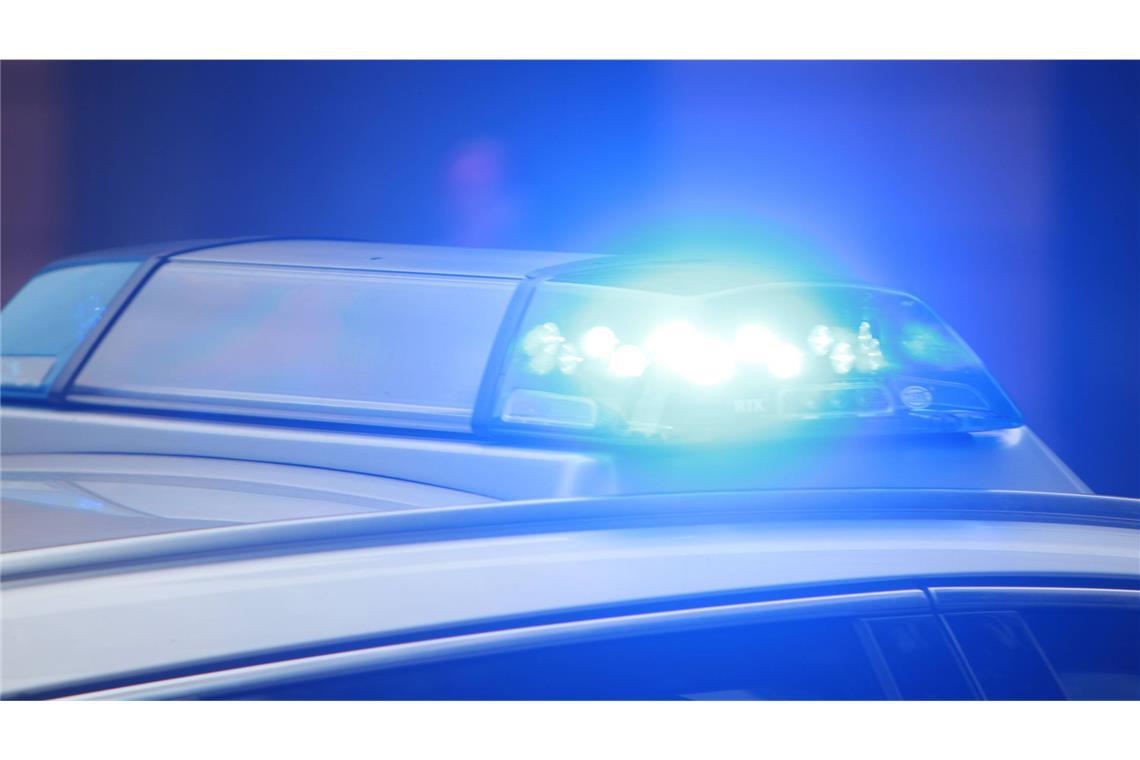 Eine Frau soll in Leimen gestürzt sein, als ein Zug einfuhr. Noch sind viele Details zum Unfall unklar (Symbolbild).