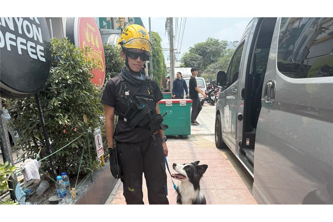 Verzweifelte Suche nach Lebenszeichen in Bangkok Eine Hundeführerin mit ihrer Hündin Blue, die in den Trümmern wahrscheinlich Lebenszeichen entdeckt hatte.