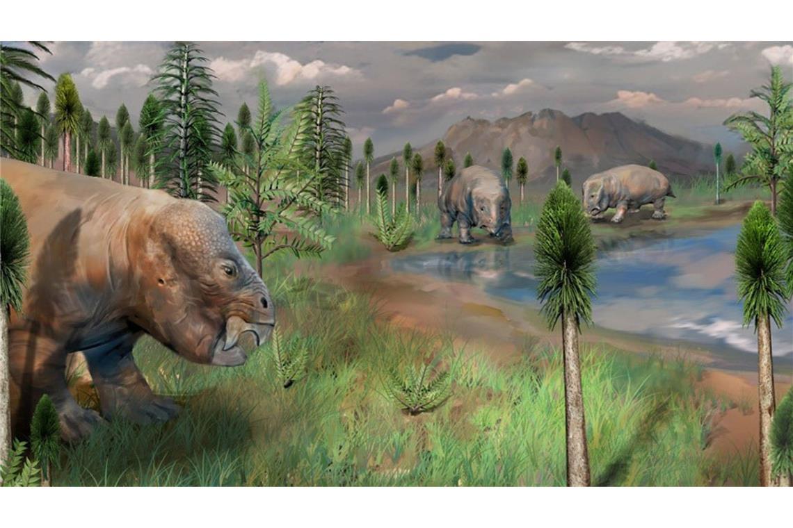 Forscher entdecken 252 Millionen Jahre alte Oase des Lebens Eine in China entdeckte Oase bot dem Leben vor, während und nach dem Massenaussterben am Ende des Perms eine Zuflucht.