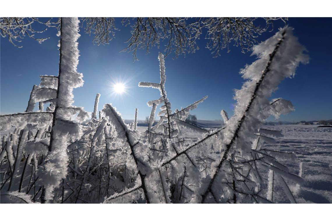 Hoch "Günther" bestimmt weiter das Wetter in Deutschland Eine Landschaft in Weiß - für viele bleibt die ein weihnachtlicher Traum.