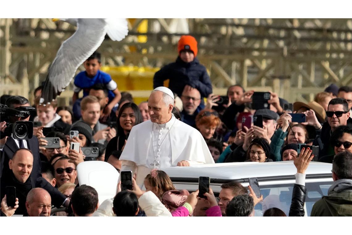 Eine Möwe fliegt vorbei, während der Papst Gläubige auf dem Petersplatz begrüßt.