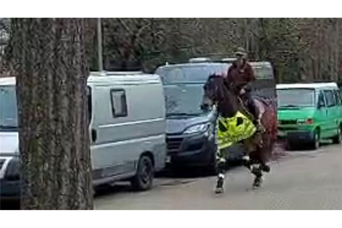 Eine Reitlehrerin aus Freiburg hat mit ihrem Pferd für ein ungewöhnliches Blitzerfoto gesorgt (Symbolfoto).