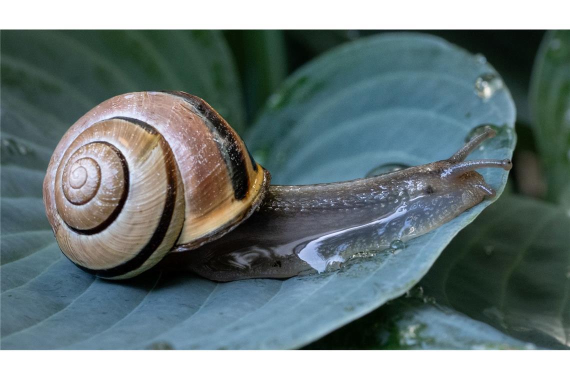 Bilder des Tages