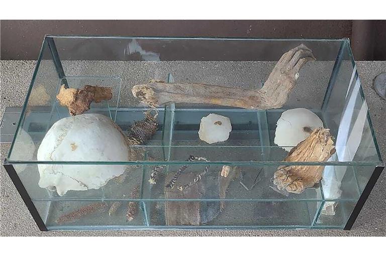 Eine Vitrine mit menschlichen Überresten war von Unbekannten in der Nacht vom 3. auf den 4. Oktober 2025 vor dem Archäologischen Schaufenster der Generaldirektion Kulturelles Erbe Rheinland-Pfalz abgestellt worden. Es handelt sich um mindestens 1000 Jahre alte Knochen und Kleidungsreste.