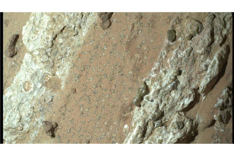 Eine vom Nasa-Rover "Perseverance" im vergangenen Jahr auf dem Mars entnommene Gesteinsprobe könnte nach Angaben der US-Raumfahrtbehörde möglicherweise Spuren von früherem mikrobiellen Leben enthalten.