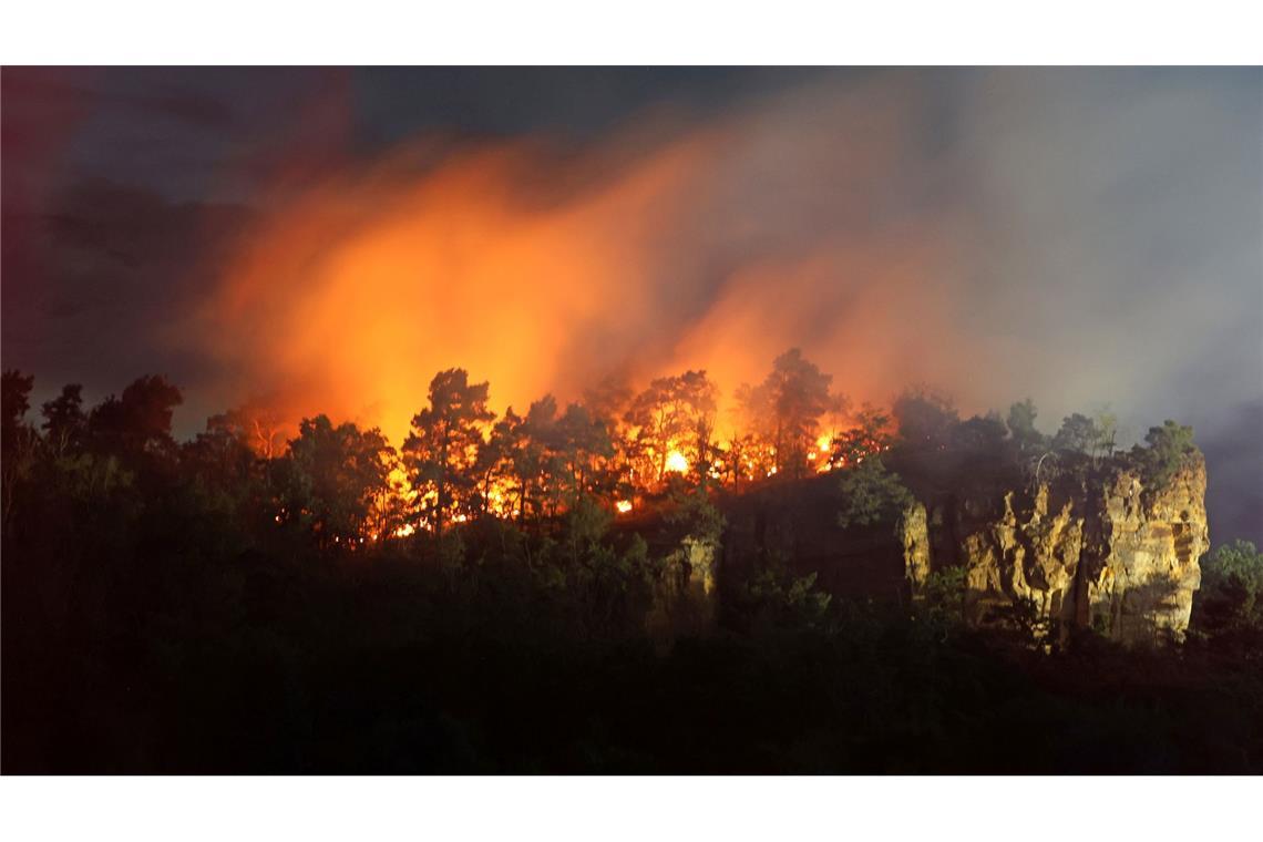 Eine Waldfläche im Bereich Lehof in Quedlinburg in Sachsen-Anhalt steht lichterloh in Flammen.