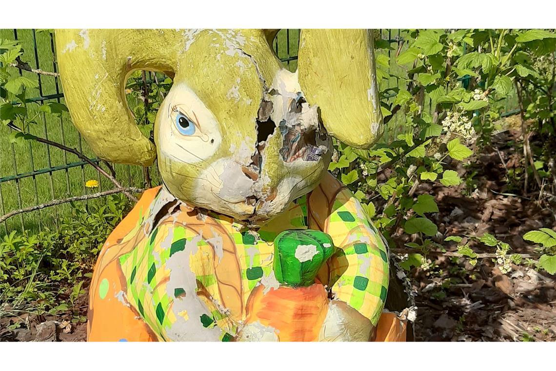 Osterhase wird zum Waschbär-Nest Eine Waschbärin hat sich einen Osterhasen als sicheren Ort für ihre Jungen ausgesucht.