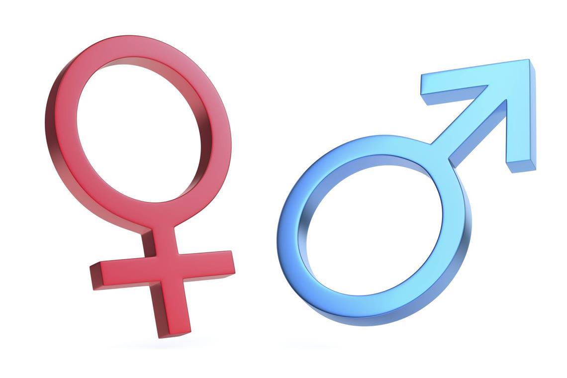 Warum Männer größer und schwerer sind als Frauen Eines haben Männer Frauen in der Regel voraus: Gewicht und Größe.