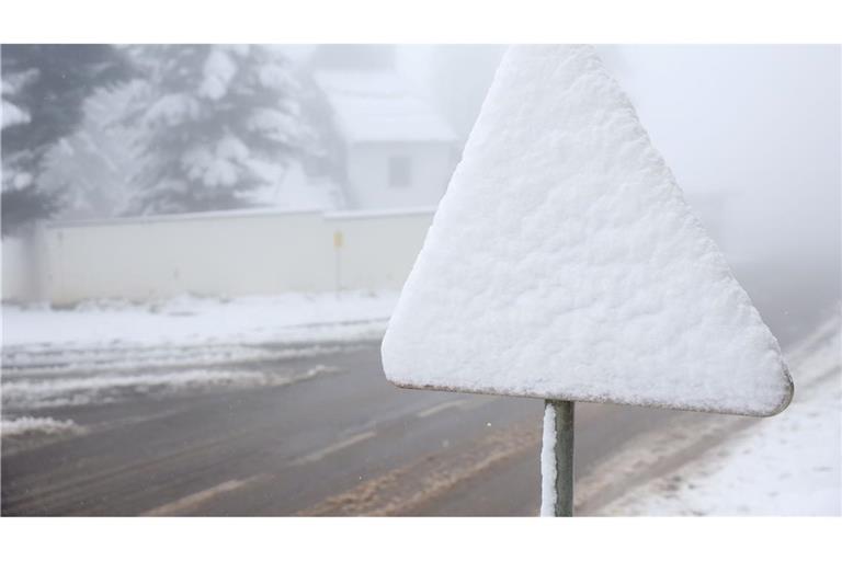 Einige Prognosen warnen vor einem Jahrhundertwinter - doch lässt sich so etwas überhaupt vorhersagen? (Symbolbild)