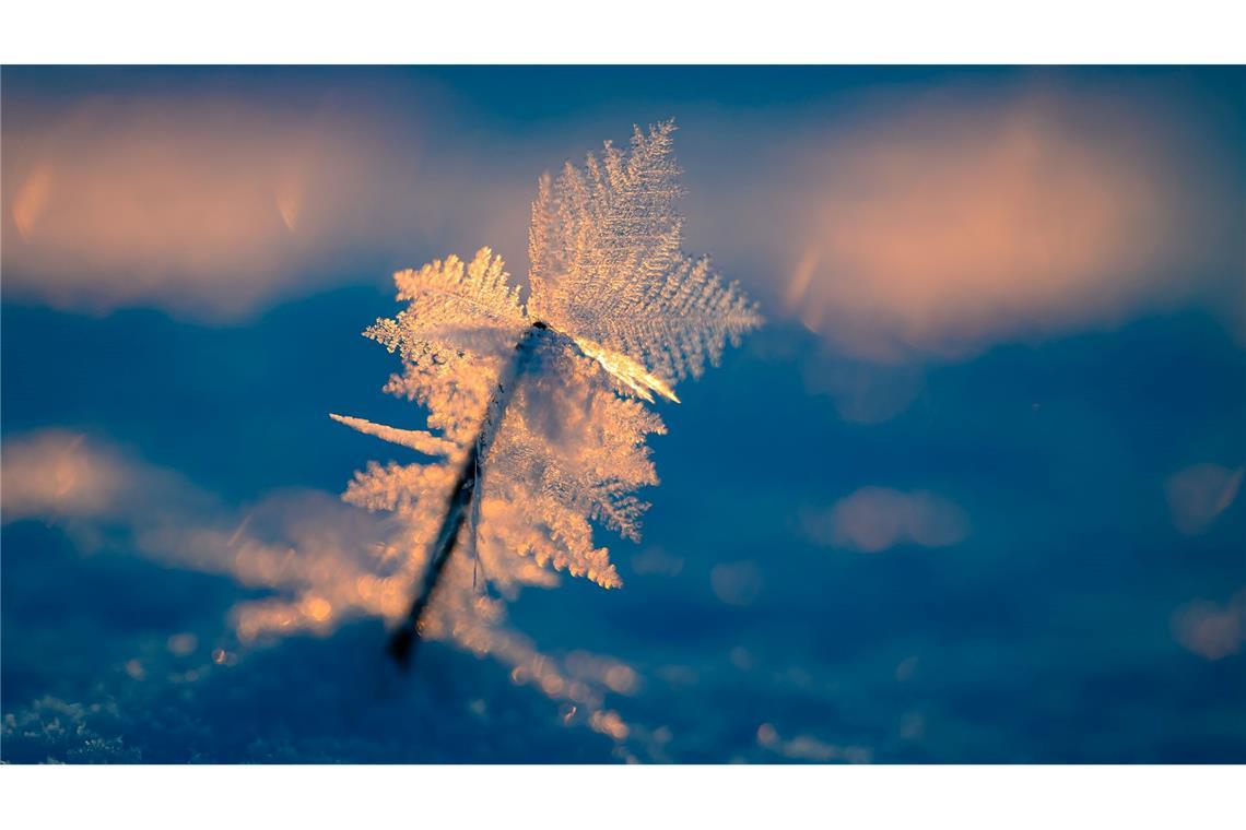 Eisige Temperaturen können für Menschen ohne Wohnung lebensgefährlich sein.