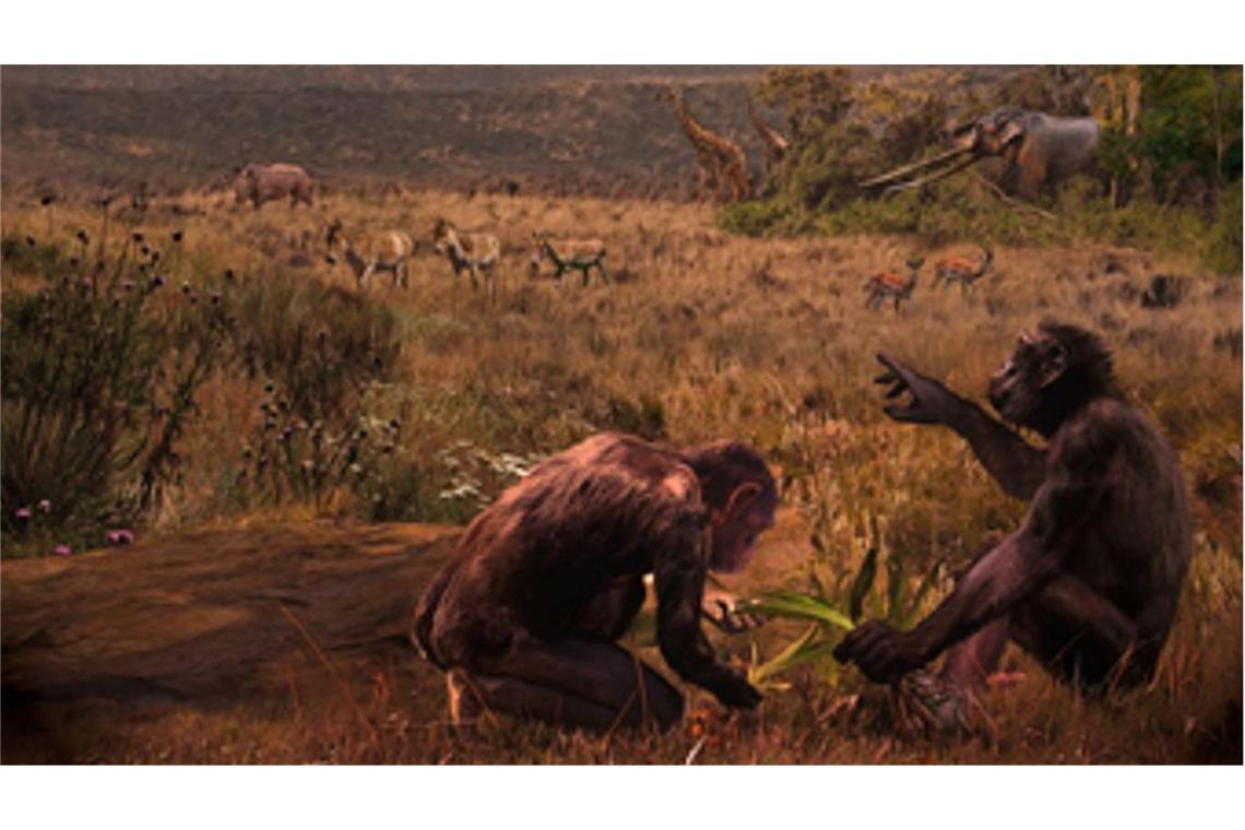 El Graeco (Graecopithecus freybergi) hat vor 7,2 Millionen Jahren in einer staubbelasteten Savannen-Landschaft im Athener Becken gelebt. Der Künstler Velizar Simeonovski hat dieses Gemälde nach wissenschaftlichen Vorgaben von Madelaine Böhme und Nikolai Spassov erstellt (Blick auf die  Fundstelle El Graecos, Pyrgos Vassilissis.