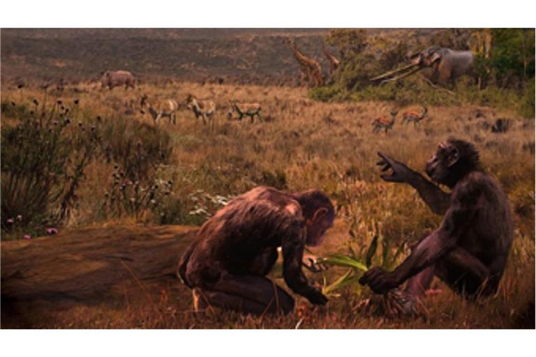 El Graeco (Graecopithecus freybergi) hat vor 7,2 Millionen Jahren in einer staubbelasteten Savannen-Landschaft im Athener Becken gelebt. Der Künstler Velizar Simeonovski hat dieses Gemälde nach wissenschaftlichen Vorgaben von Madelaine Böhme und Nikolai Spassov erstellt (Blick auf die  Fundstelle El Graecos, Pyrgos Vassilissis.