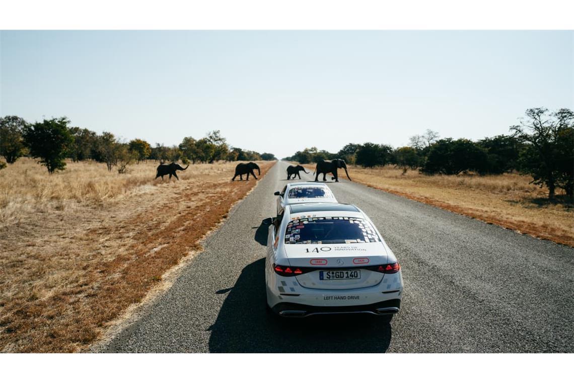 Elefanten haben im afrikanischen Straßenverkehr Vorrang. Eine Erfahrung, die der Mercedes-Konvoi in Tansania und Botswana gemacht hat.