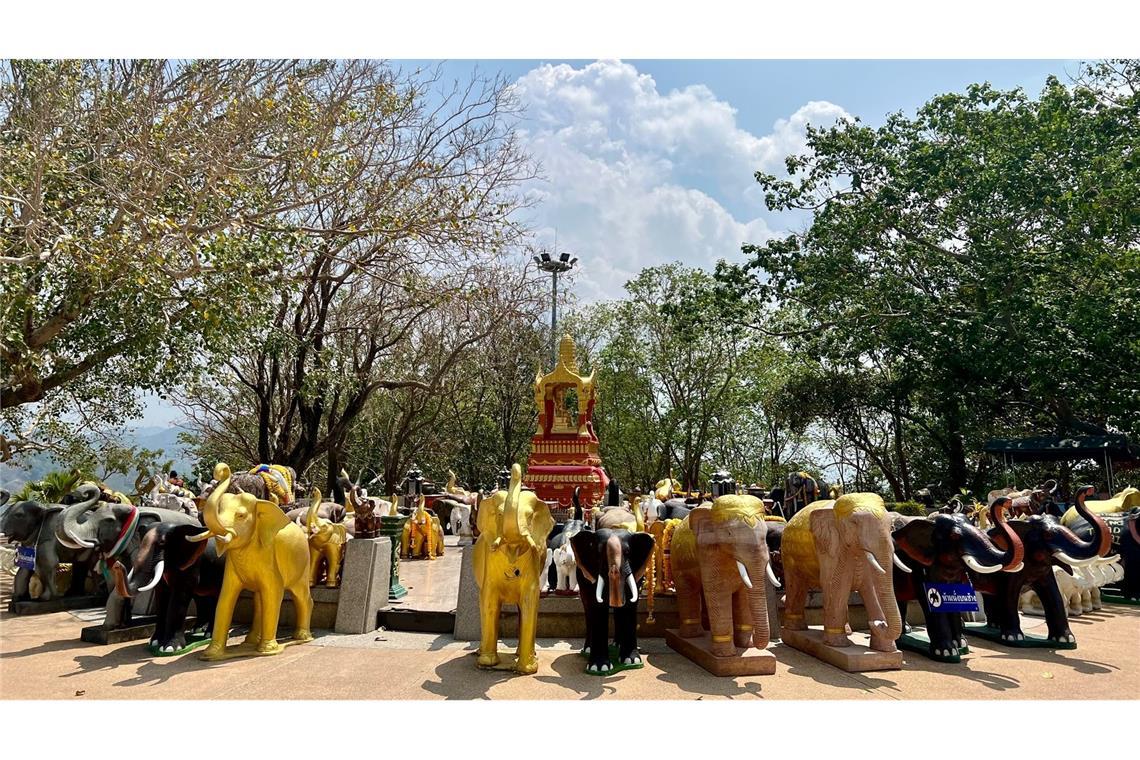Elefanten sind Thailands Nationaltiere und werden in vielen Tempeln verehrt. (Archivbild)