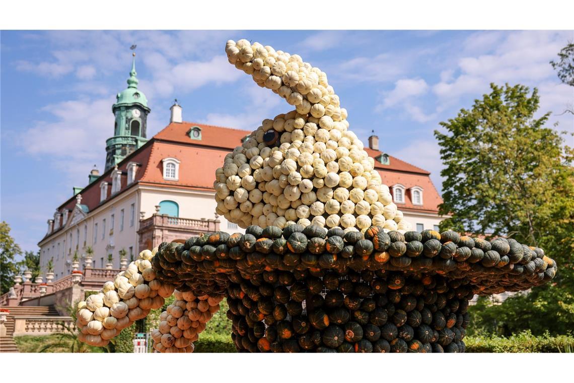 Kürbisfest in Sachsen lockt mit vier Meter hohen Skulpturen Entstanden sind bis zu vier Meter hohe Figuren.