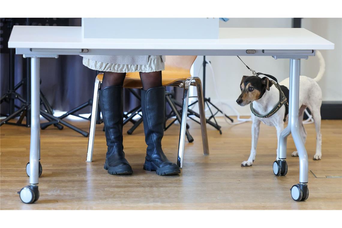 Bilder des Tages Er würde ja die Tierschutzpartei wählen.... Aber sein Frauchen, das hier in einer Wahlkabine zur Stimmabgabe für die Bundestagswahl in einem Wahllokal in Brandenburg steht, verrät nicht, wo sie ihre Kreuze macht. Wahlgeheimnis!