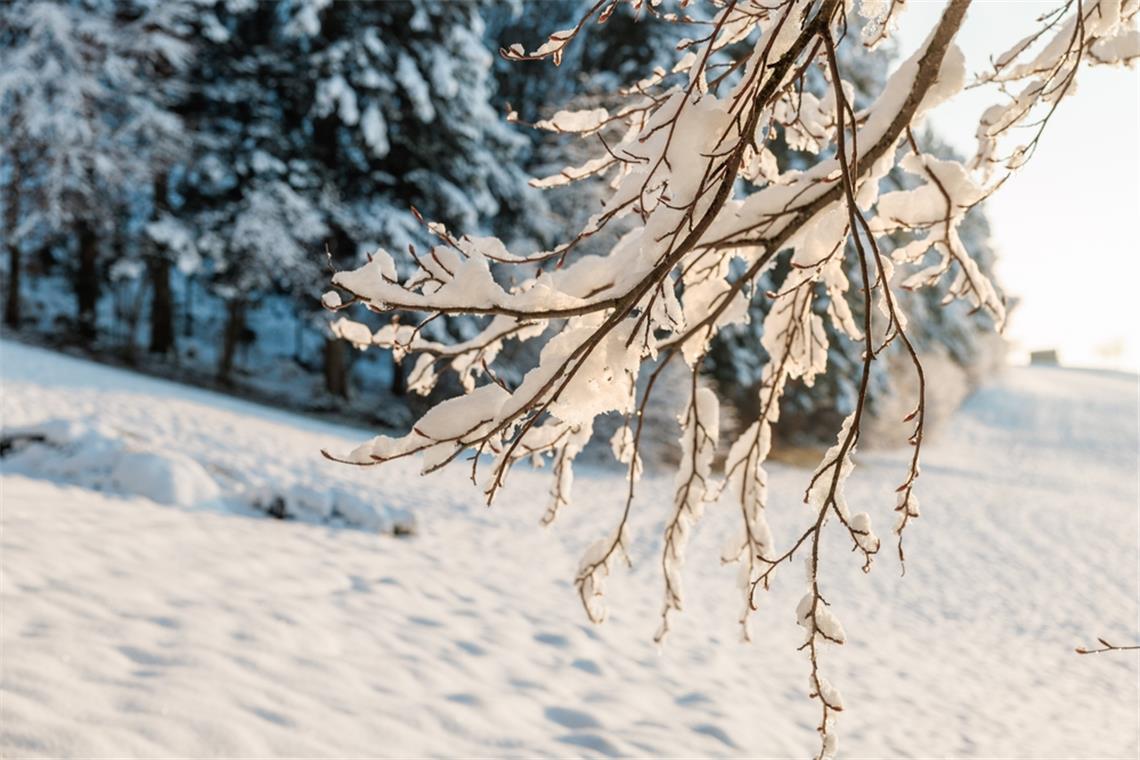 Erfahren Sie, wann das Wetter in Deutschland wieder besser wird. Aktuelle Vorhersagen für die nächsten Tage: Glätte, milde Temperaturen und erste Sonnenstrahlen.