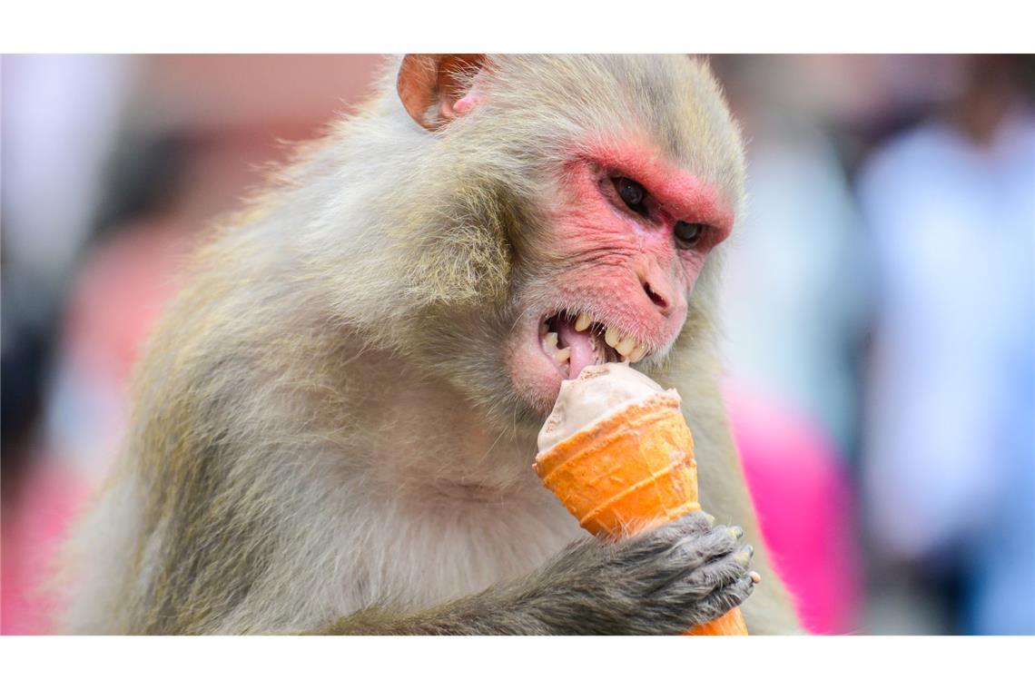 Bilder des Tages