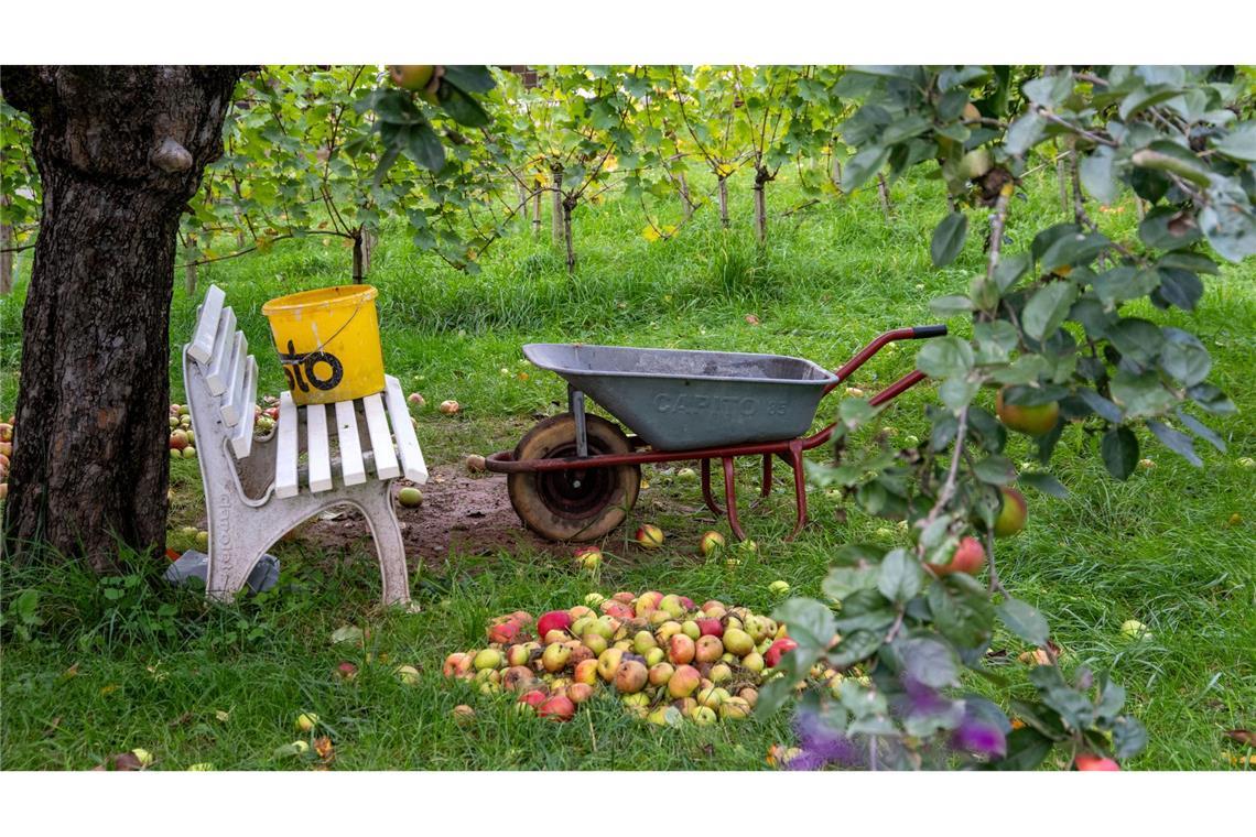 Bilder des Tages Erntedankfest: Herbstliche Stimmung auf dem Land in Untermerzbach