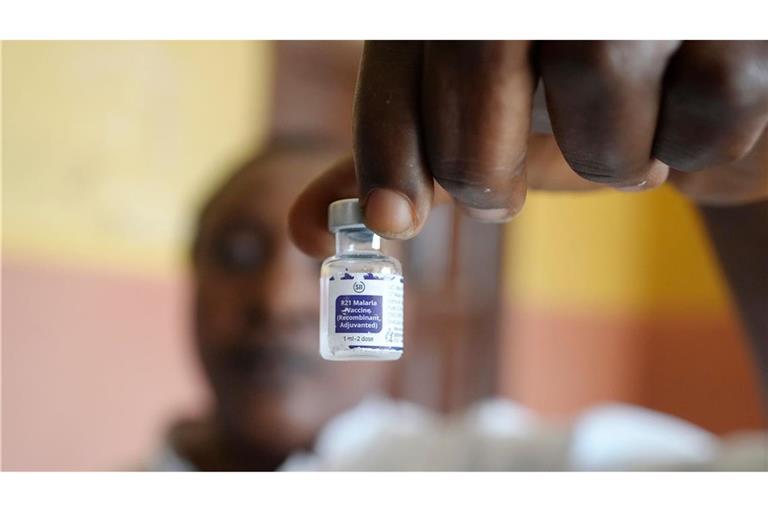 Erste Erfahrungen mit den beiden 2024 für Kinder zugelassenen Impfstoffen gegen Malaria stimmen Gesundheitsexperten hoffnungsvoll. (Archivbild)