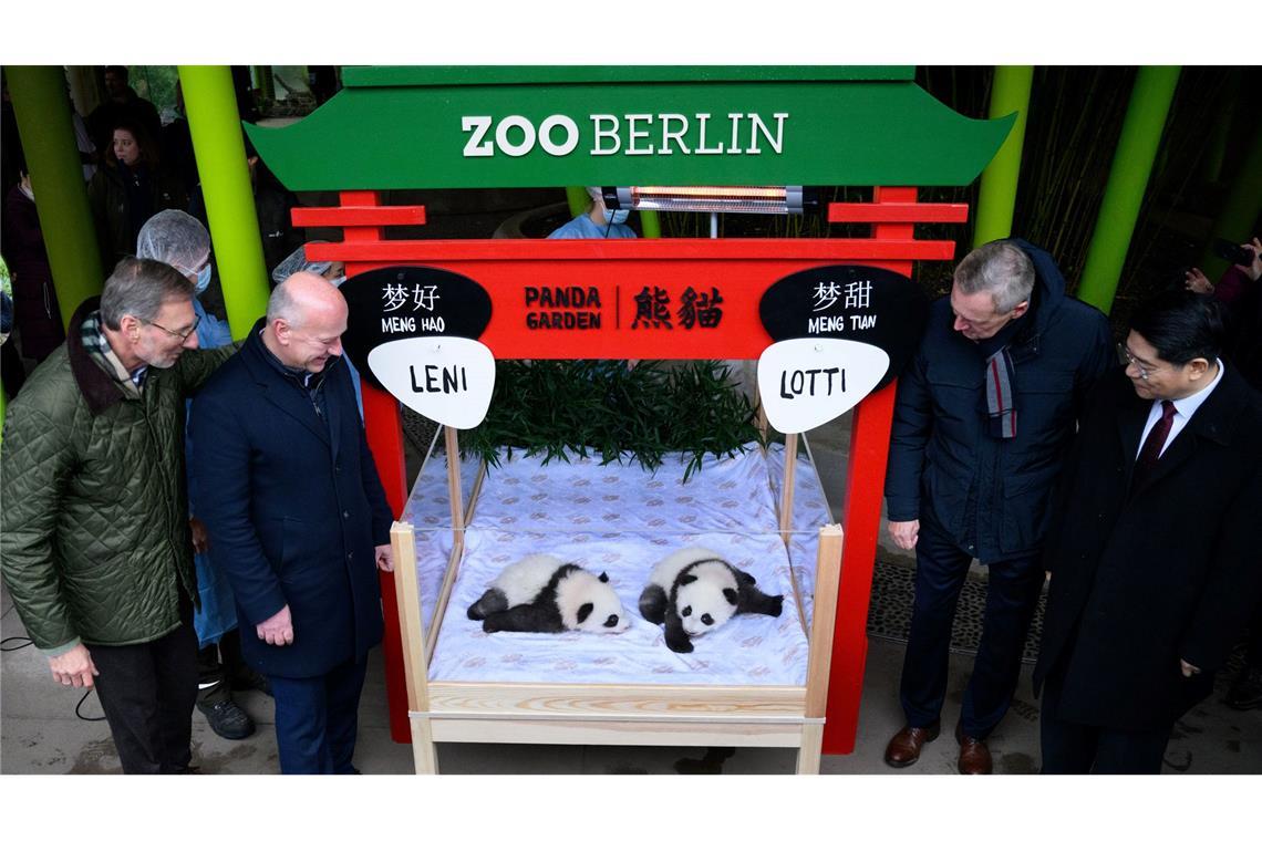 Berliner Panda-Mädchen heißen Leni und Lotti Erster gemeinsamer Auftritt von Leni und Lotti.