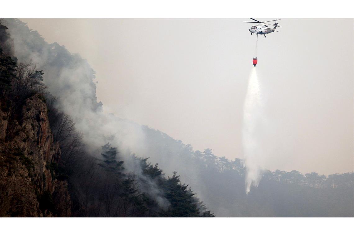 Zahl der Toten bei Waldbränden in Südkorea steigt auf 27 Es handelt sich um die größten Waldbrände in der Geschichte des Landes.