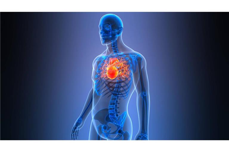 Es ist nicht der normale Schnupfen, es ist nicht jeder Atemwegsinfekt, sondern es geht um die schweren Infektionen, die zu einem Herzinfarkt führen können.