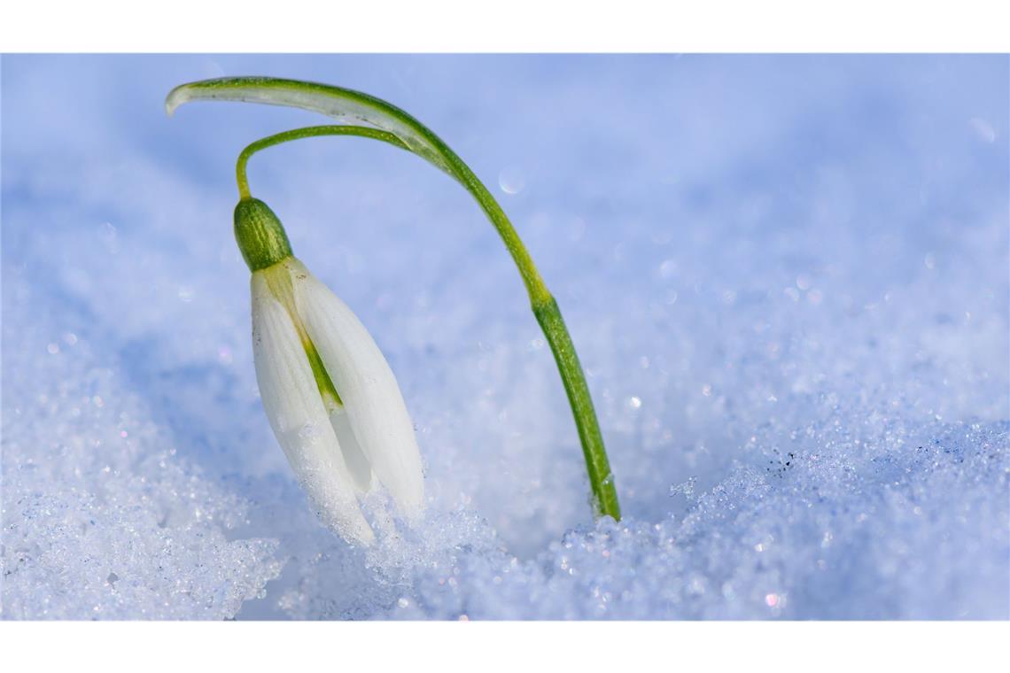 Schnee und Regen in Sicht Es kann an manchen Orten im Südwesten auch wieder schneien.