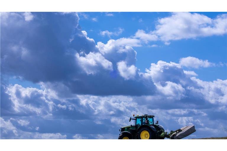 Es lohnt sich oft nicht: Die Produktionskosten für Agrarprodukte liegen teils über den Verkaufspreisen. (Archivbild)