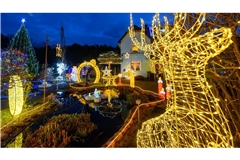 Es weihnachtet im Garten von Familie Muschner in Ostbrandenburg.