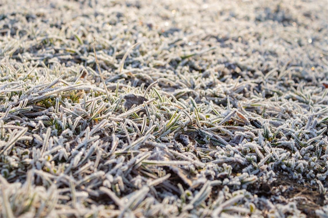 Achtung, hier droht bereits Bodenfrost Es wird kalt in Baden-Württemberg.