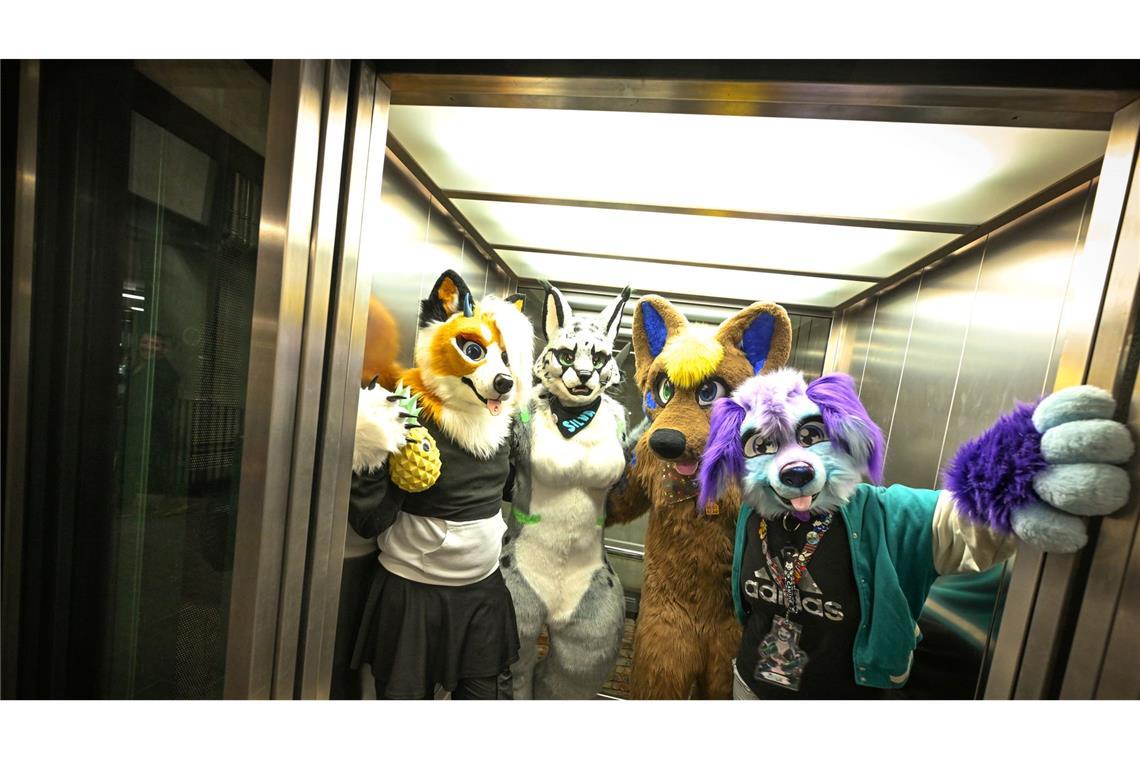Vom Mensch zum Fabeltier: Was hinter Furry Fandom steckt Etwa 100.000 Menschen gehören Schätzungen zufolge mittlerweile dem Furry Fandom in Deutschland an - Tendenz steigend. (Archivbild)