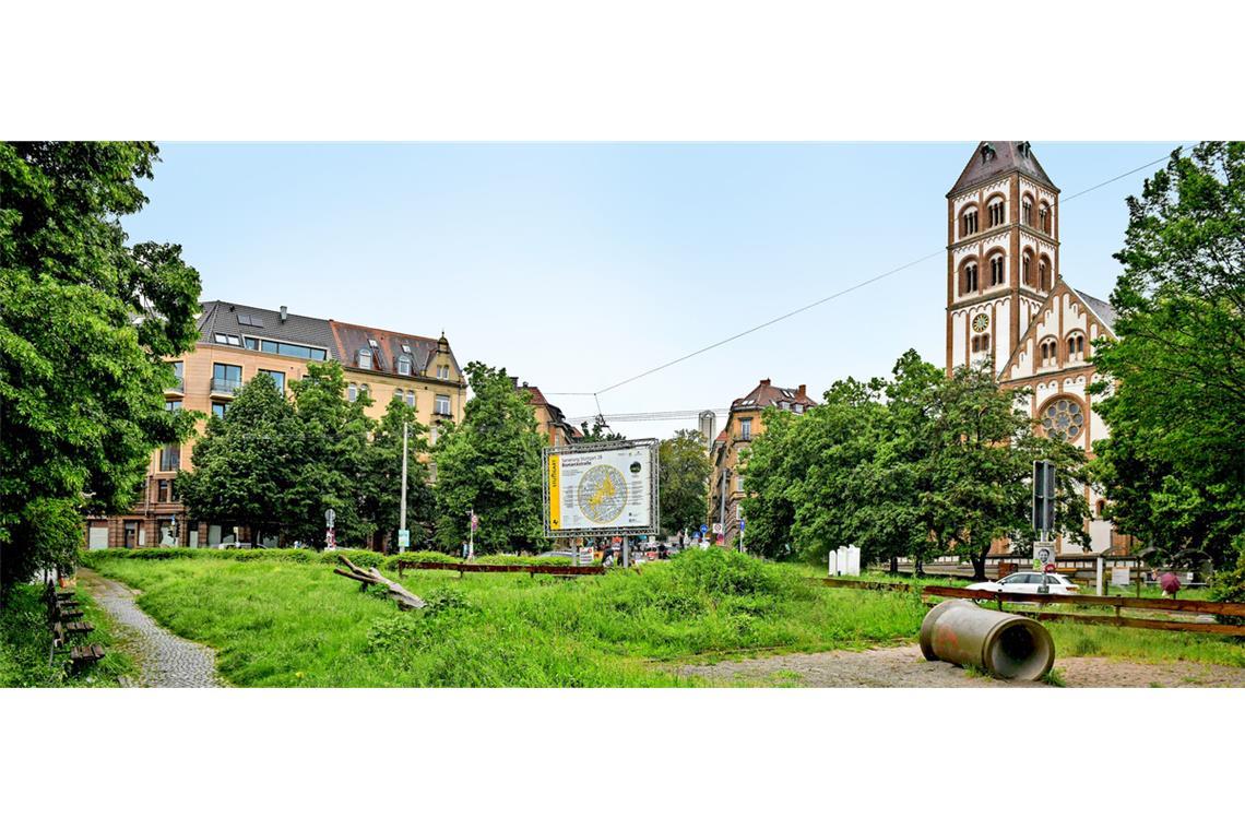 Etwas wild und ungepflegt, aber grün sieht es derzeit in Teilen des Bismarckplatzes aus.