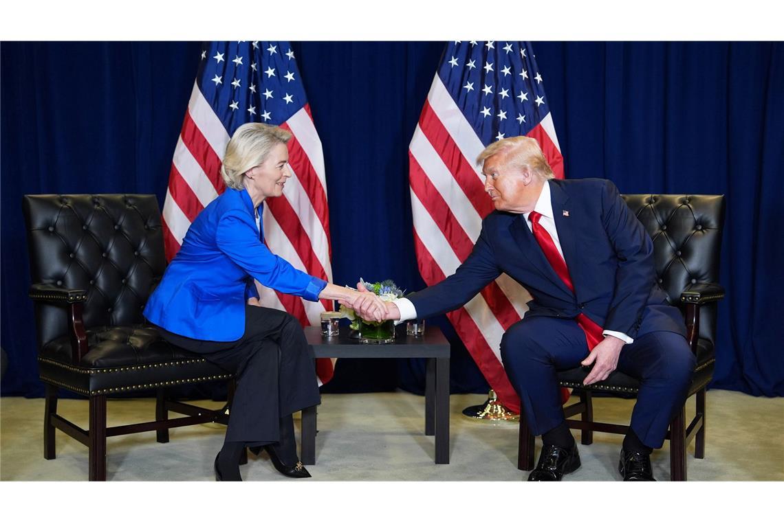 Studie: Gas-Export in EU beschert Putin Milliardeneinnahmen EU-Kommissionschefin Ursula von der Leyen hat US-Präsident Donald Trump in Aussucht gestellt, dass EU-Unternehmen künftig noch mehr LNG in Amerika kaufen. (Archivbild)