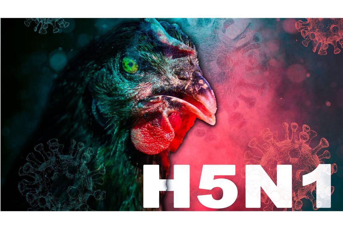 Schon eine Mutation reicht für Mensch-zu-Mensch Übertragungen Experten halten den Befall von Rindern durch H5N1 für besorgniserregend, weil sich das Virus in einer großen Population von Säugetieren vermehrt, die vom Menschen genutzt werden.