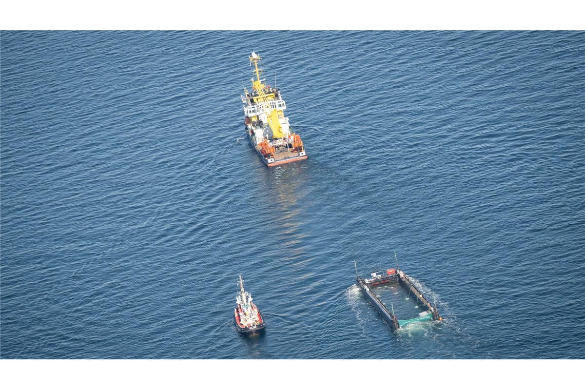 Transportboot mit Wal ist auf dem Weg in die Nordsee