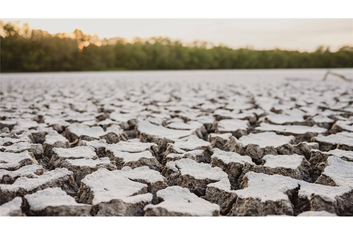 Extreme Trockenheit in den Everglades im US-Bundestaat Florida.