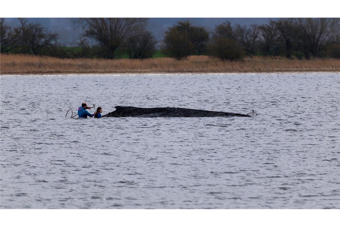 Fachleute hatten die Hilfsaktion laut Umweltministerium empfohlen.