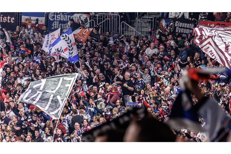 Fans der Eisbären Berlin (Archivbild)
